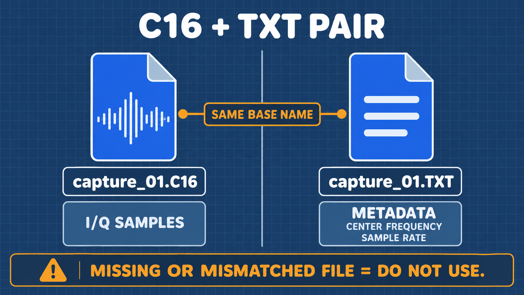 C16 Raw Binary and TXT Metadata Paired Structure